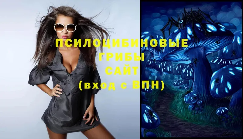 Псилоцибиновые грибы Psilocybe  Калининец 